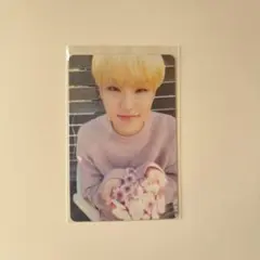 SEVENTEEN HOSHI ホシ トレカ