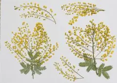 ポンタママ様 リクエスト 4点 まとめ商品