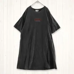 チチカカ ロングTシャツ ワンピース F チャコールグレー ピグメント加工 刺繍のサムネイル