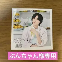 【ぶんちゃん様専用】ましかくフォト　道枝、藤原、集合