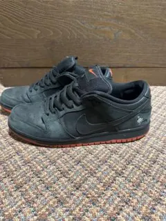 NIKE SB NYCピジョン