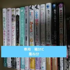 Asami Matsuo 様 専用　箱31C
