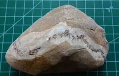 津軽海峡　鬼泊産　珪化木？化石？ 水石 鑑賞石 自然石 紋様石 盆栽石 津軽海峡 珪化木？化石？ 水石 鑑賞石 自然石 紋様石 盆栽石 - メルカリ