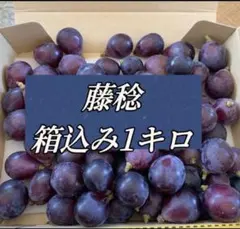 1-11 山梨県産　藤稔　ぶどう　種無し　訳あり　箱込1キロのサムネイル