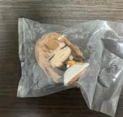 かなやんだよ様 リクエスト 2点 まとめ商品