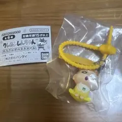 クレヨンしんちゃん　カラフルマルチチャーム　ひまわり