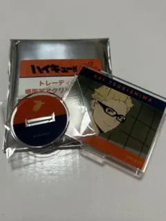 劇場版ハイキュー‼︎ゴミ捨て場の決戦　トレーディング場面写アクリルスタンド　月島蛍