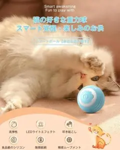 Item thumbnail for item 666d234b-a863-4340-953f-62730263d9ba