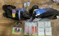 タイトーくじ　HORSEHEROES ラストワン賞イクイノックス他9点