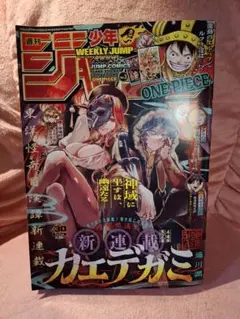 2026年最新】ワンピース 新連載号の人気アイテム - メルカリ