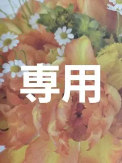 sue&mr.様専用2点おまとめ 他の方は購入をお控え下さい