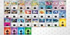ポケモンカード　ブイズバレットデッキ構築済