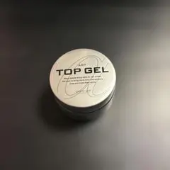 パラジェル　アートトップジェル 10g