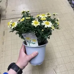 おかっぺ様 リクエスト 3点 まとめ商品