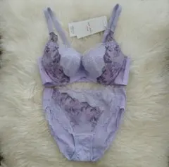 トリンプ　レッドレーベル　天使のブラ0118　定価13100円　021 D70M