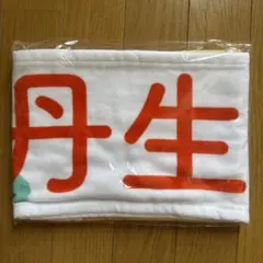 日向坂46 丹生明里 卒業コンサート タオルマフラー