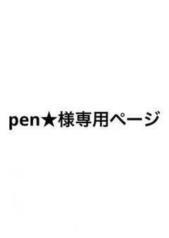 pen★様専用ページ treasureアサヒ