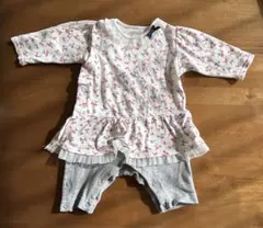 Item thumbnail for item 40d1e9f3-c3cd-467f-b2a6-0bc8d6beb666