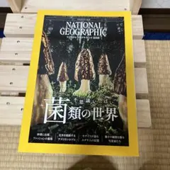 Item thumbnail for item b05c8128-a2de-421f-bd64-9542ccdb4b17