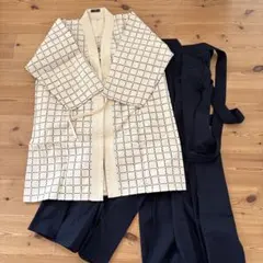 Item thumbnail for item 8af13c74-4d9a-4972-9cef-441d90cda905