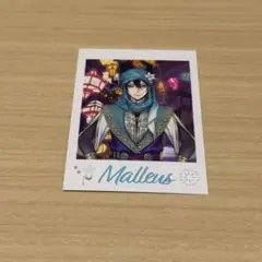 に*♡様 ツイステ展 ランダムカード マレウス ツイステッドワンダーランド