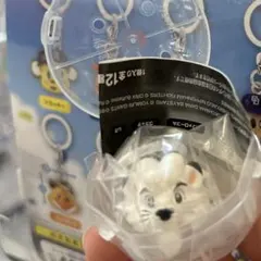 プロ野球 めじるしアクセサリー レオ