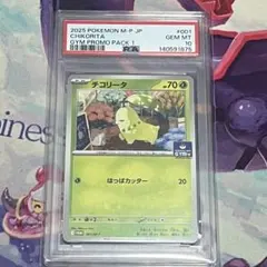 PSA10 御三家　チコリータ　ジムプロモ　001