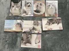 もちまる ポストカード まとめ売り