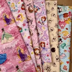 プリンセス 生地