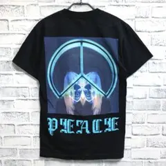 Item thumbnail for item 3356167d-067e-42a9-b4b8-9070378c54eb