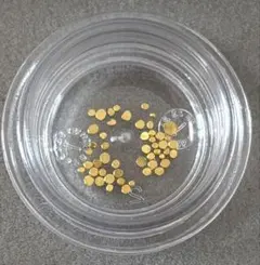 Item thumbnail for item e4e4810a-9f45-4b12-a800-8c6f7f362cbb