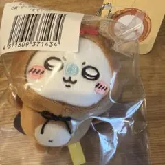 モモンガ　たぬきだもんくじ