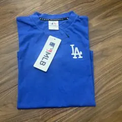 Item thumbnail for item 467509ba-bbe0-4e5b-840e-15116734d992