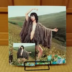 UA☆泥棒☆アナログ盤 LP レコード - メルカリ
