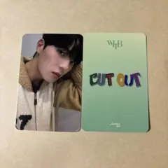 WHIB CUTOUT ジンボム ヨントントレカ1枚 - メルカリ