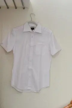 CALVIN KLEIN 半袖シャツ ライトピンク