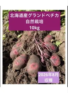 濃厚な甘みとコク！北海道発自然栽培デストロイヤー 10kg(S〜L混み