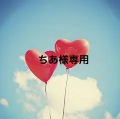 ちあ様専用・ネジバネイヤリング