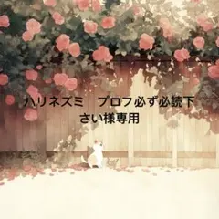 ハリネズミ　プロフ必ず必読下さい 様　専用