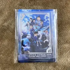 名探偵 コナン ハイウェイの堕天使 ムビチケファイル & ミニカード セット