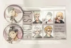 Dr.STONE 京まふ 缶バッジ 特典ブロマイド あさぎりゲン