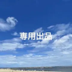 専用出品