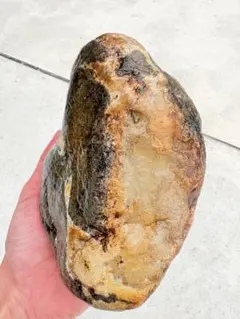 茶色い不規則形状の原石 鑑賞石　サンダーエッグ サンダーエッグ(石の卵) - 鉱物の販売ショップ【峠の石屋】