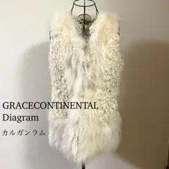 2026年最新】カルガンラム ファー ベストの人気アイテム - メルカリ