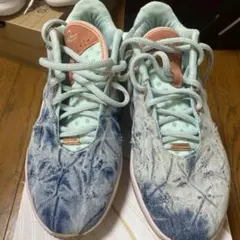 LEBRON XXI 9.5 ジョーダン コービー カイリー 海外限定カラー