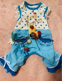 可愛らしい「Love Berry」デザインの犬服