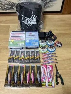 未使用　スクイッドマニア　ワイルドチェイス　ゴーストフォール ケース　リーダー 未使用 スクイッドマニア ワイルドチェイス ゴーストフォール ケース
