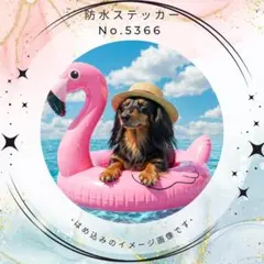 Miyukey様 リクエスト 3点 まとめ商品