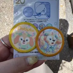 ダッフィーアンドフレンズ 20周年 カラフルハピネス ワッペン　クッキーアン