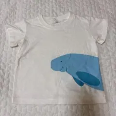 Item thumbnail for item c2908e15-e3ee-4e4d-9862-5afaa99da919